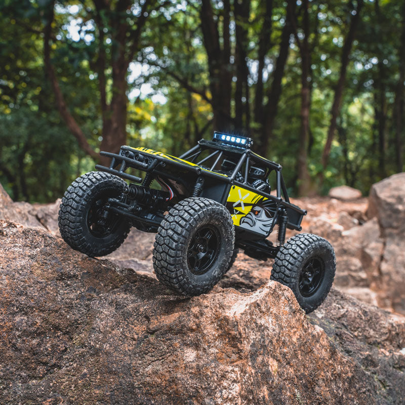 FMS 1:24 FCX24 Lemur RTR | India